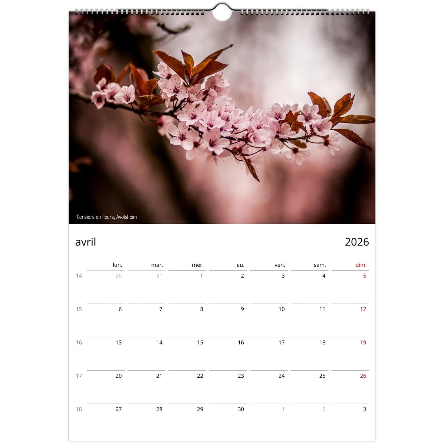 0427c606-5a5e-43ae-9bd6-1528ae9bdfd3