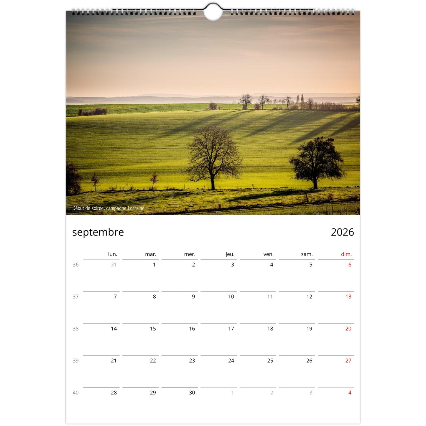 0a5d9dce-8365-4943-86fb-dbcc4e803b05