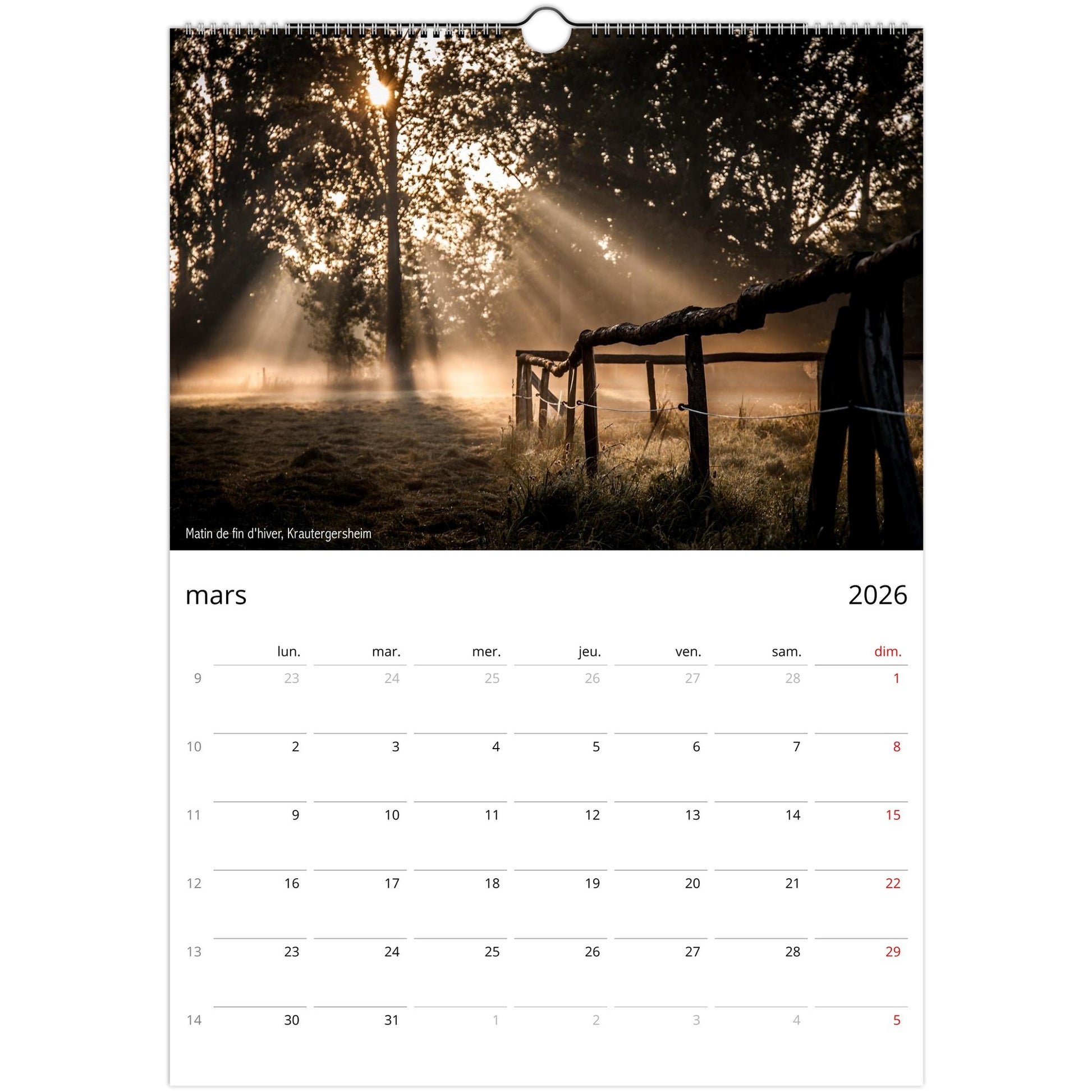 d71bdf27-8a2f-4340-9314-cf1563d6d71e