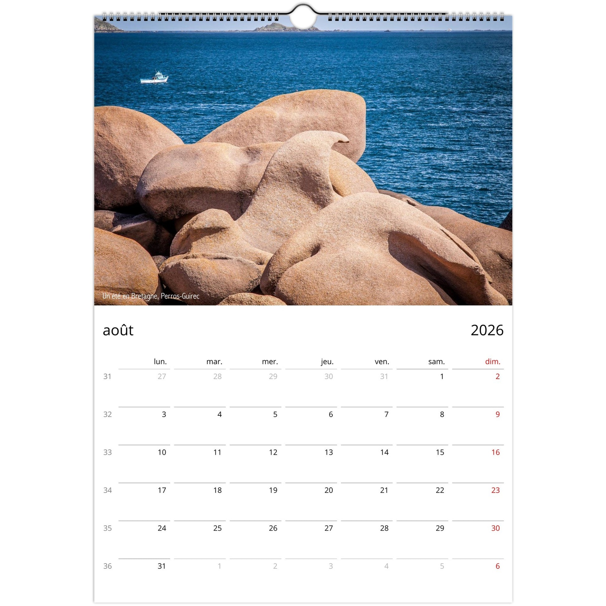 de19e75b-558a-4b62-9902-c0602050a9d3