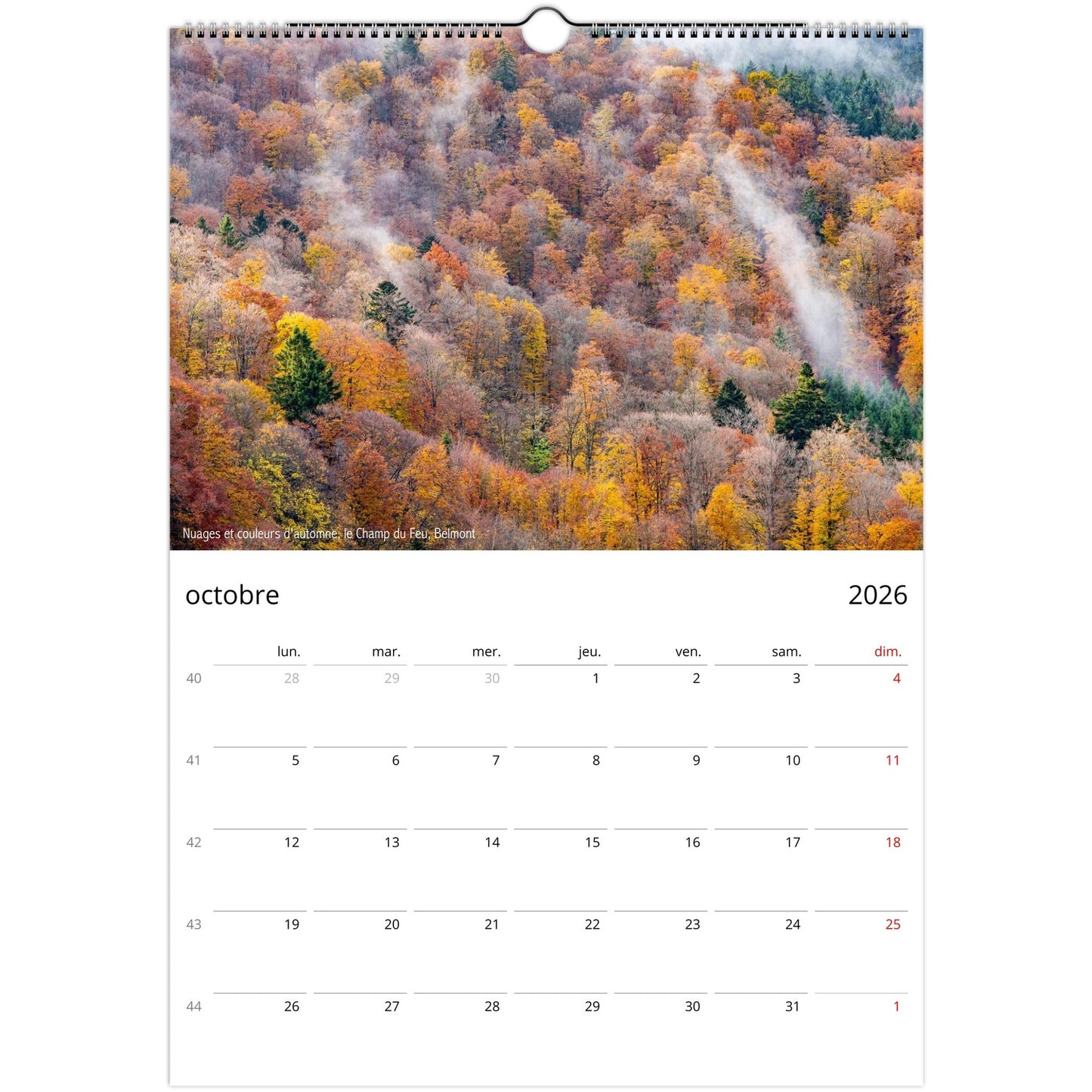 ea73d97a-6eba-4c65-be48-076e15940e3e